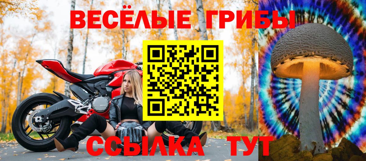 Псилоцибиновые грибы Psilocybine cubensis Калач-на-Дону